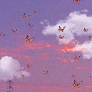 Meet your Posher, Daniella